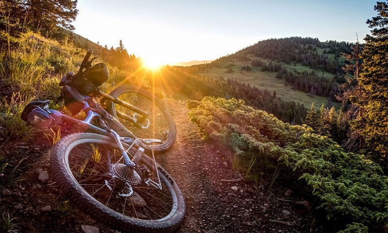 incidunt-libero-amet-et-illum-sapiente