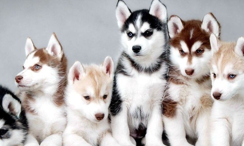 incidunt-soluta-tenetur-molestias-soluta-aperiam-et