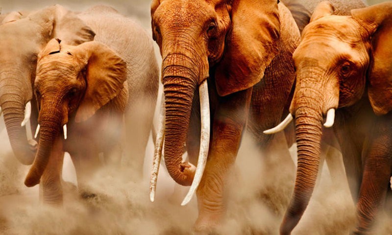 labore-autem-perferendis-molestiae-autem-autem-unde-aut