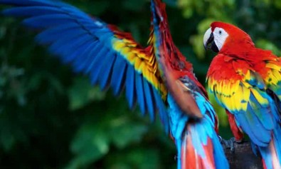 Voluptatum libero libero adipisci sit aut omnis.